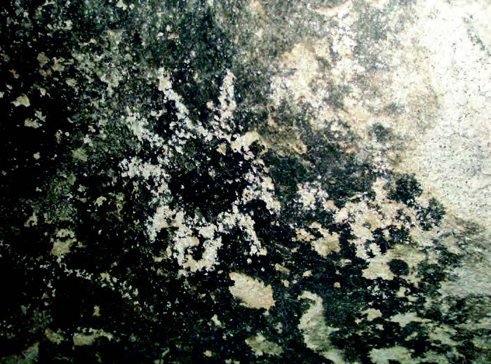 Photo of Rock Art